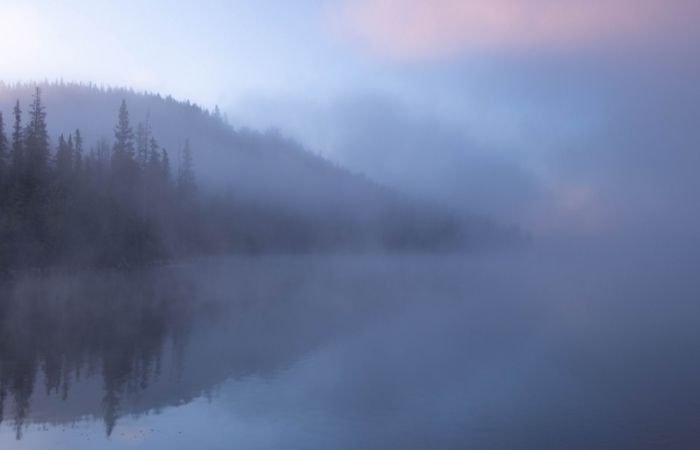 пейзажная фотосессия в тумане, тонированная в фиолетовый цвет