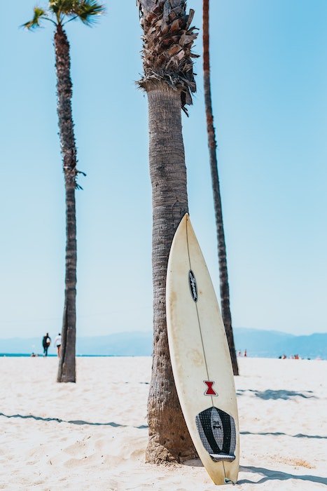 Доска для серфинга стоит на фоне пальмы как пример фотографии серфинга