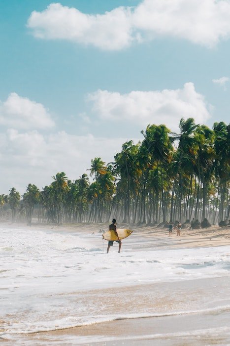 Серфер стоит на разбивающихся волнах перед пальмами на ветреном пляже как пример фотографии серфинга