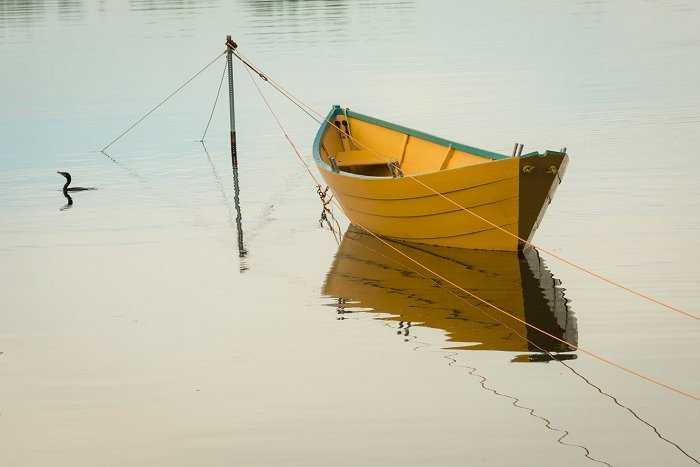 Желтая лодка на тихой воде как пример акцента в фотографии