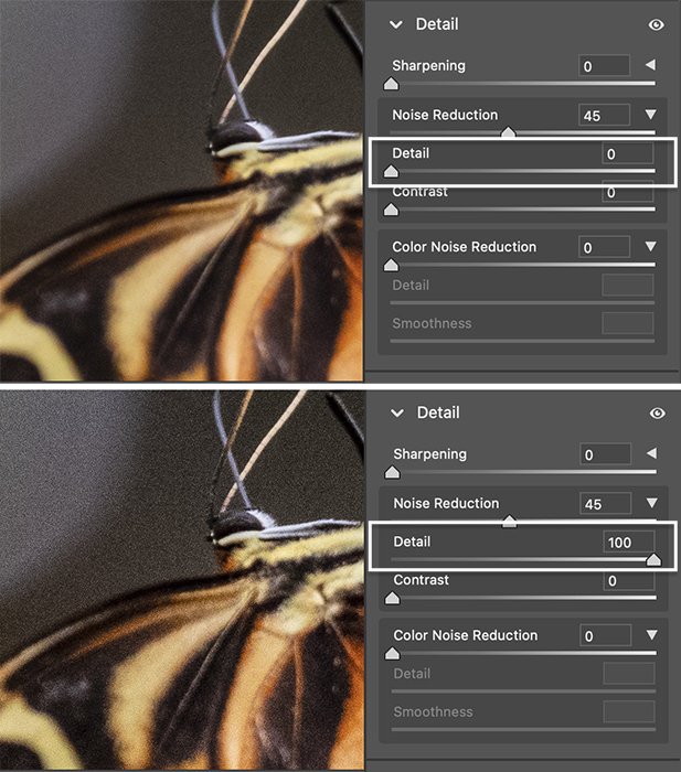Скриншоты Adobe Camera Raw, сравнивающие изменения в деталях