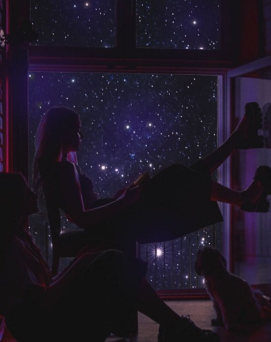 Композиционное изображение девушки и собаки, сидящих у окна на фоне ночного неба