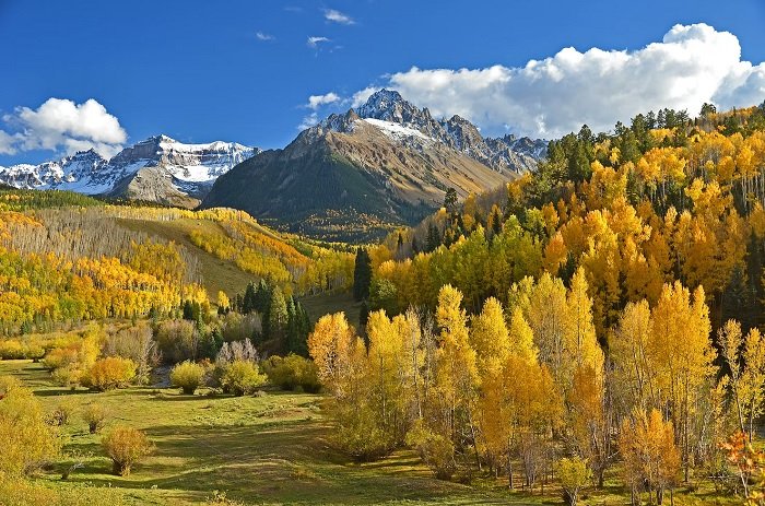 Осенний лес в горной местности. 